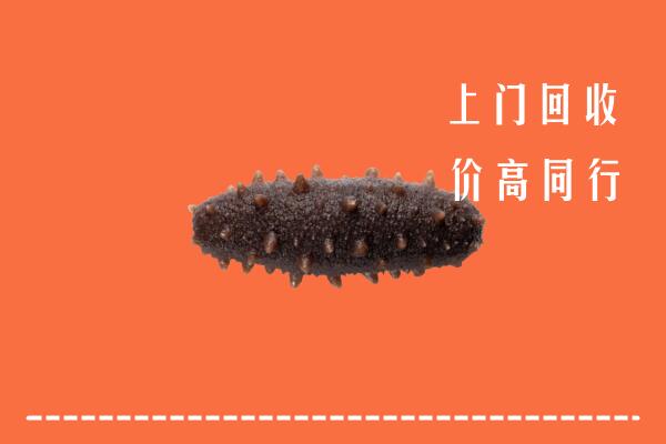 汕尾高价回收海参