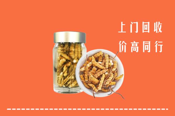 高价求购：汕尾回收冬虫夏草